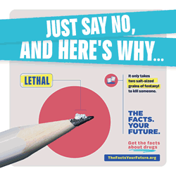 TFYF Just Say No Heres Why ani